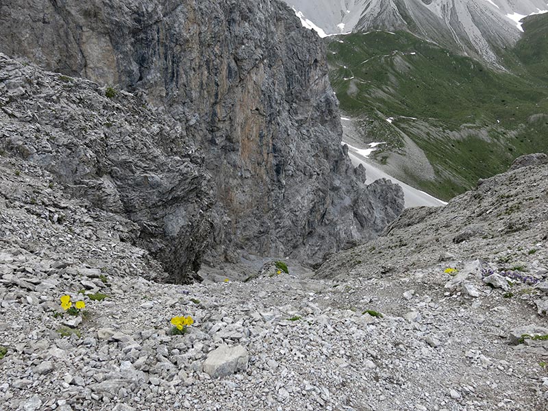 Weittalspitze